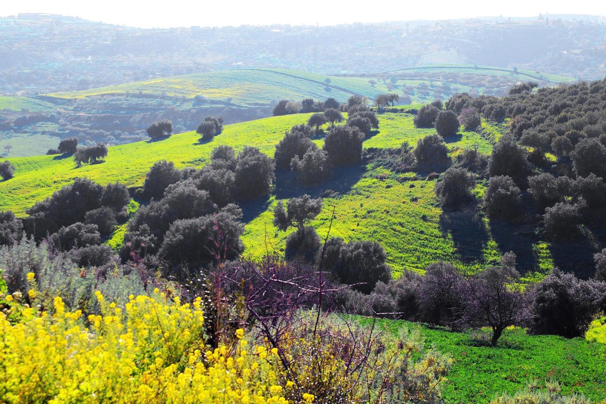 פלאצולו אקריידה Agriturismo Giannavi מראה חיצוני תמונה